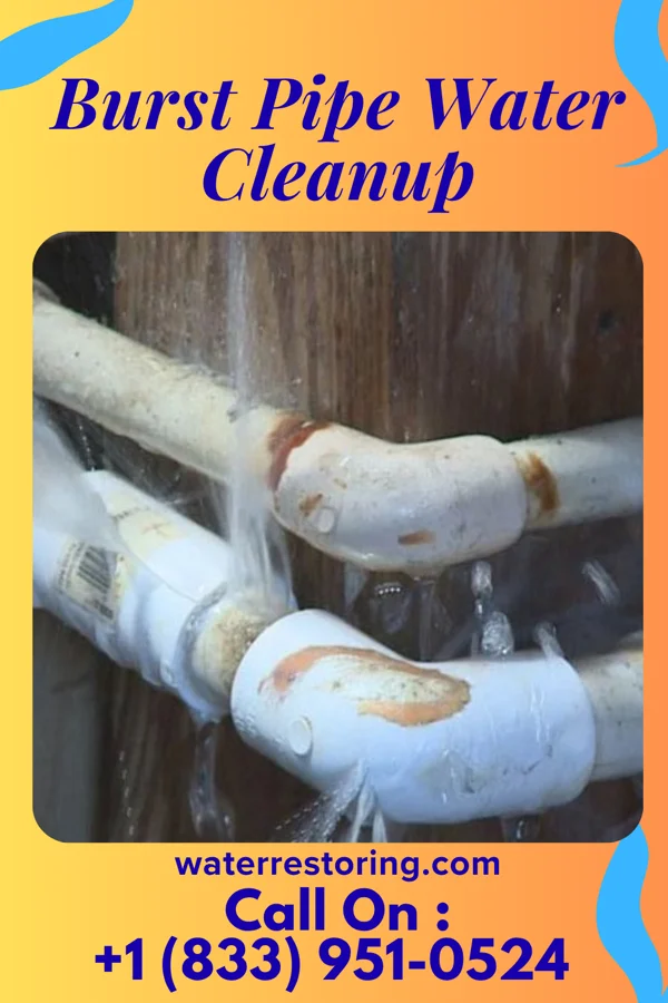 Burst Pipe Water Cleanup in Strathmore, NJ