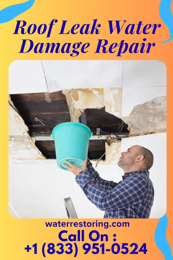 Roof Leak Water Damage Repair in Strathmore, NJ