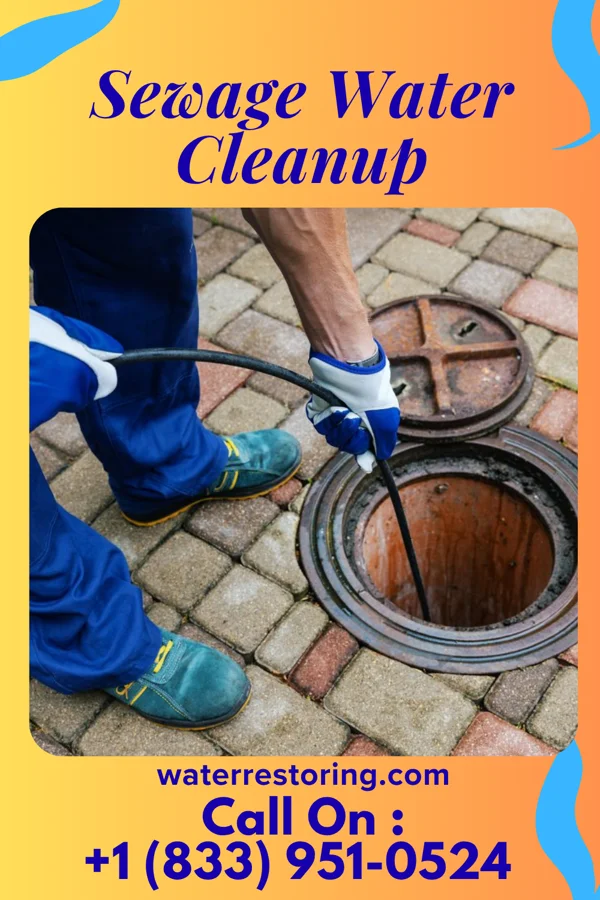 Sewage Water Cleanup in Strathmore, NJ