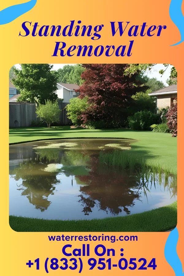 Standing Water Removal in Strathmore, NJ